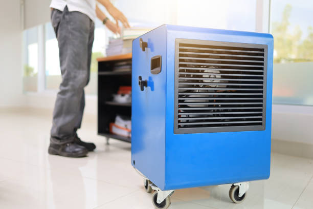 Best Attic Mold Removal  in Bodfish, CA